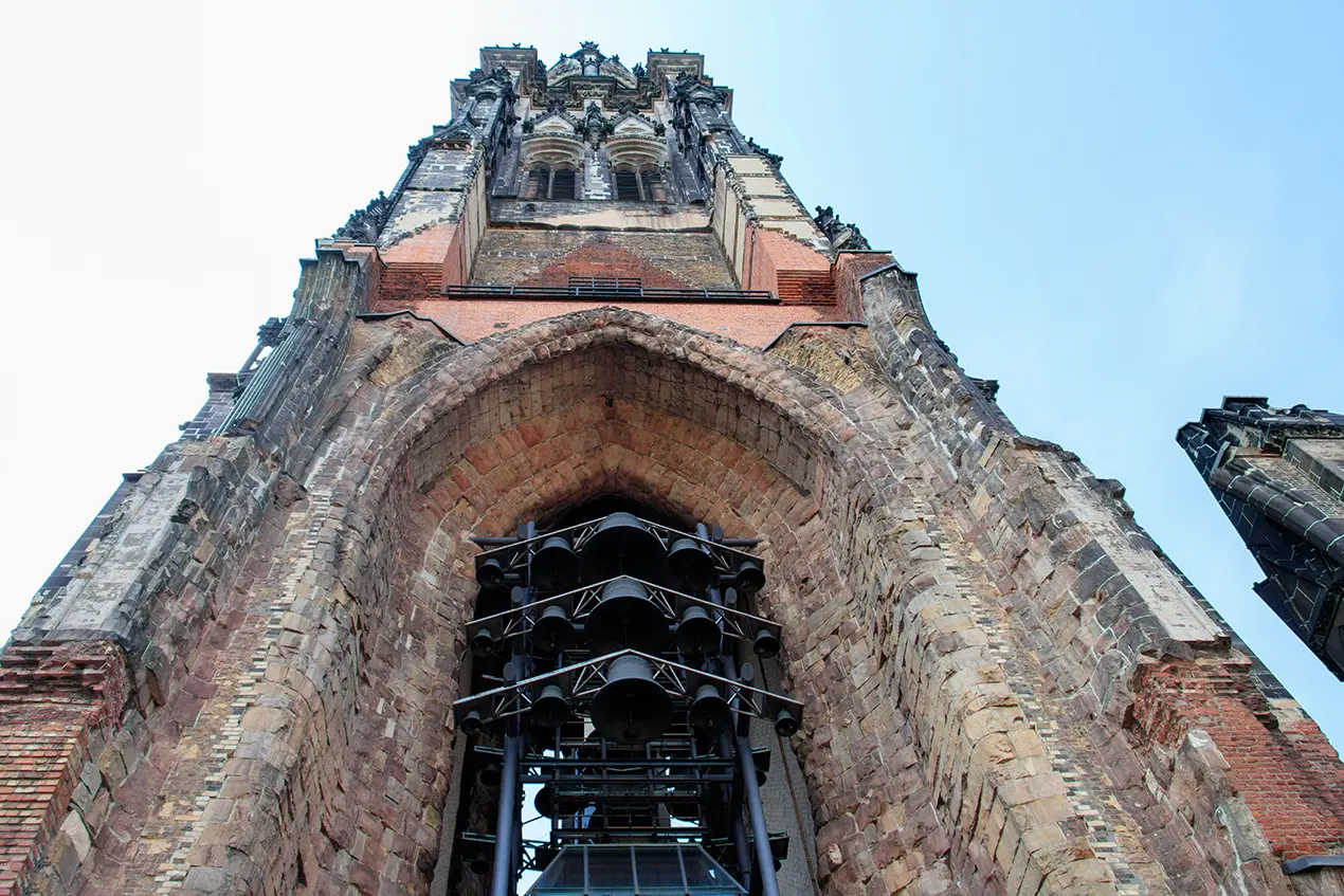 Default category image